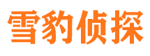 邱县市调查公司